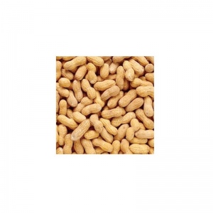 Arašídy - celé (11,3 kg)